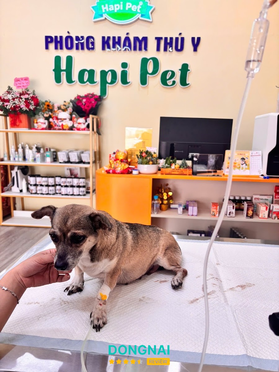 Hapi Pet Long Thành – hình ảnh 2