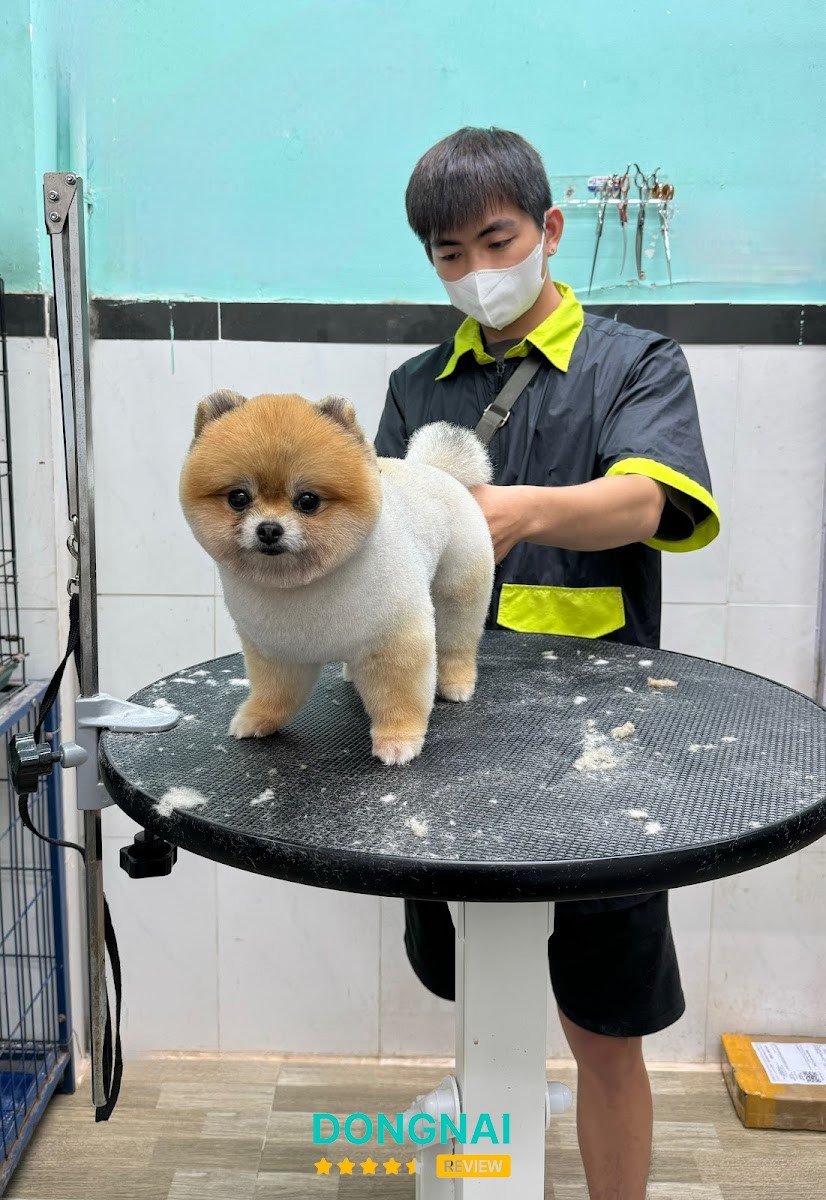 Cáo Pet Salon Long Thành – hình ảnh 2