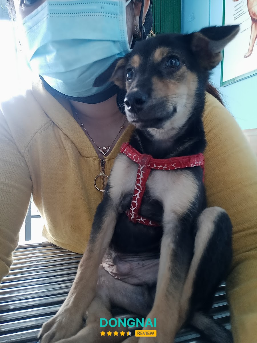 PHƯƠNG VET Nhơn Trạch – hình ảnh 3