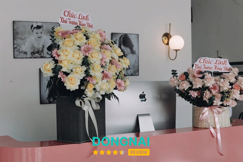 Lynk Baby Studio & Lynk Studio Long Thành