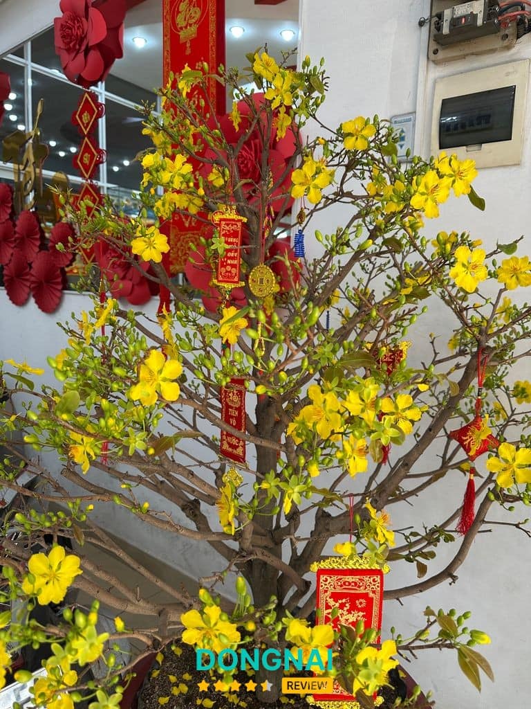 Tiệm Vàng Quang Vinh – hình ảnh 2